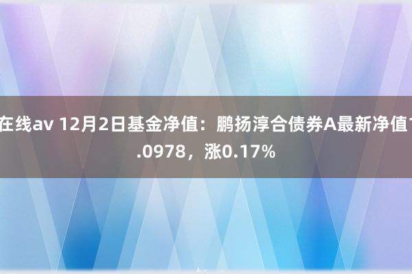 在线av 12月2日基金净值：鹏扬淳合债券A最新净值1.0978，涨0.17%