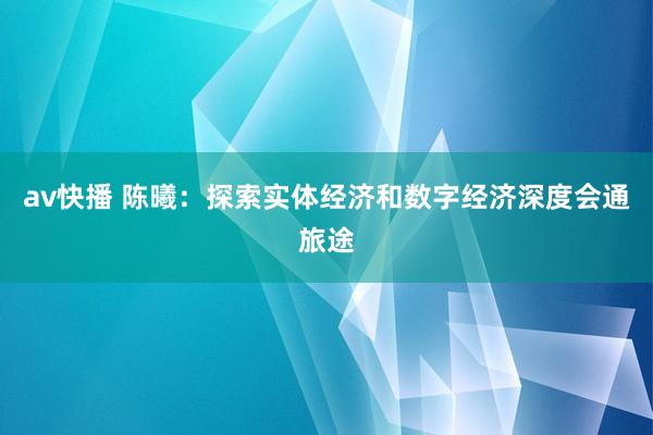 av快播 陈曦：探索实体经济和数字经济深度会通旅途