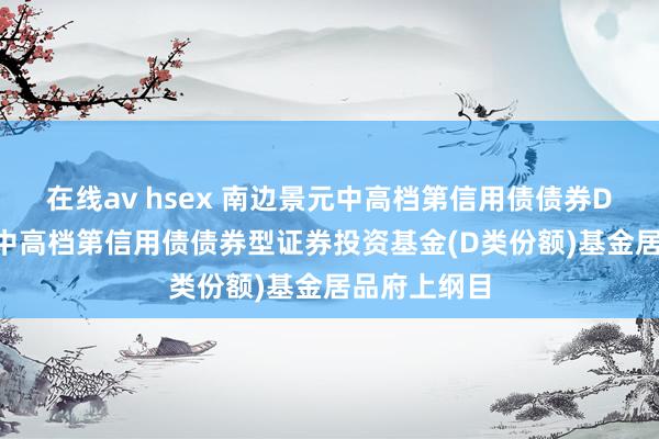 在线av hsex 南边景元中高档第信用债债券D: 南边景元中高档第信用债债券型证券投资基金(D类份额)基金居品府上纲目