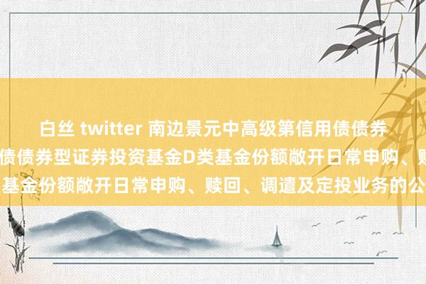 白丝 twitter 南边景元中高级第信用债债券D: 南边景元中高级第信用债债券型证券投资基金D类基金份额敞开日常申购、赎回、调遣及定投业务的公告