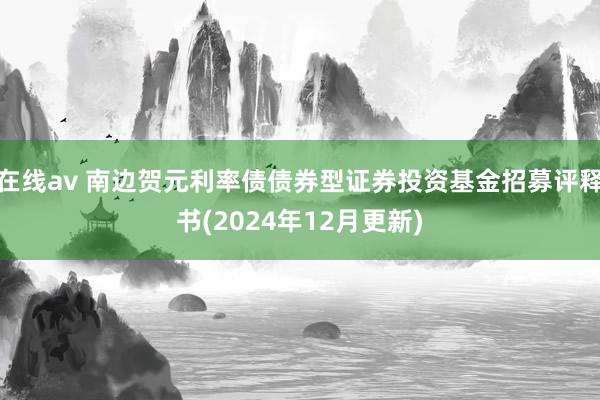 在线av 南边贺元利率债债券型证券投资基金招募评释书(2024年12月更新)