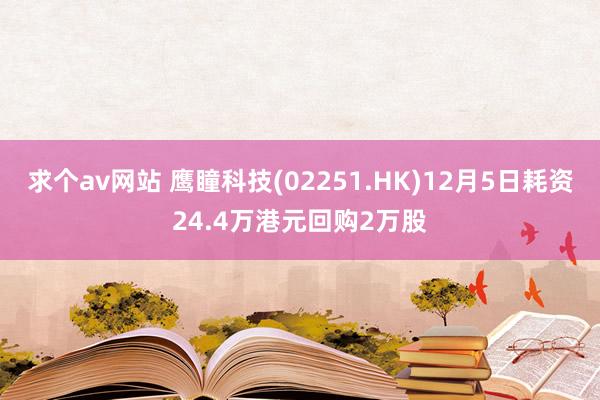 求个av网站 鹰瞳科技(02251.HK)12月5日耗资24.4万港元回购2万股