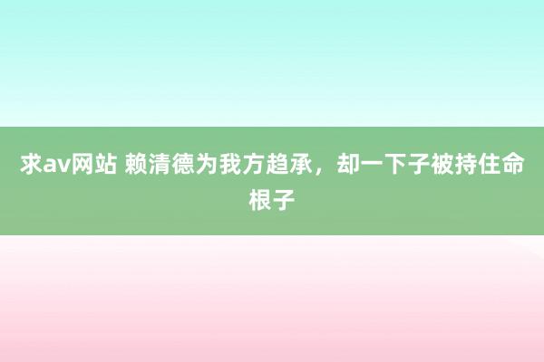 求av网站 赖清德为我方趋承，却一下子被持住命根子