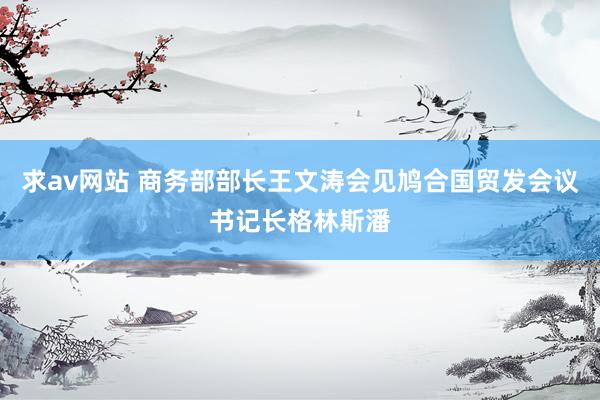 求av网站 商务部部长王文涛会见鸠合国贸发会议书记长格林斯潘