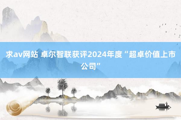 求av网站 卓尔智联获评2024年度“超卓价值上市公司”