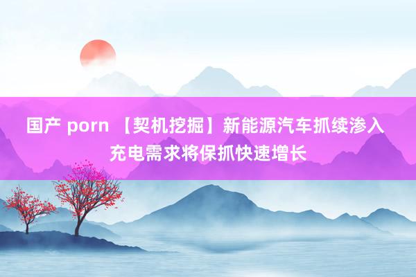 国产 porn 【契机挖掘】新能源汽车抓续渗入 充电需求将保抓快速增长