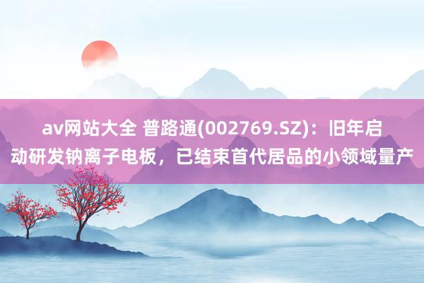 av网站大全 普路通(002769.SZ)：旧年启动研发钠离子电板，已结束首代居品的小领域量产