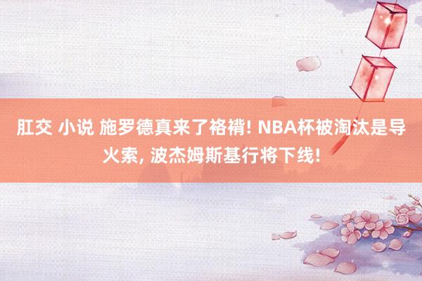 肛交 小说 施罗德真来了袼褙! NBA杯被淘汰是导火索, 波杰姆斯基行将下线!