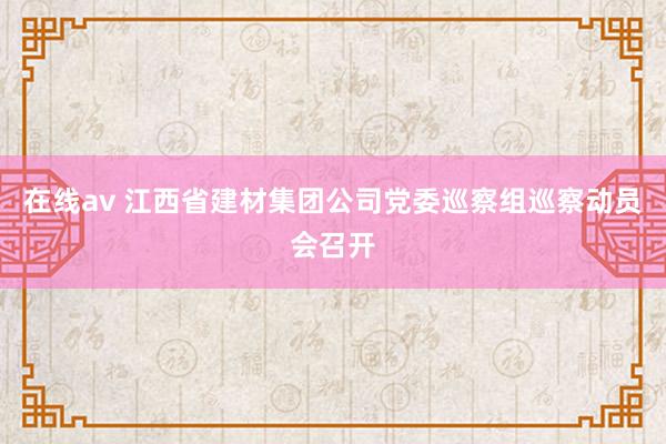 在线av 江西省建材集团公司党委巡察组巡察动员会召开