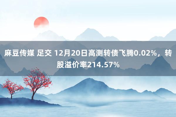 麻豆传媒 足交 12月20日高测转债飞腾0.02%，转股溢价率214.57%