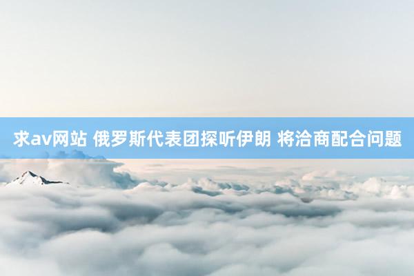 求av网站 俄罗斯代表团探听伊朗 将洽商配合问题