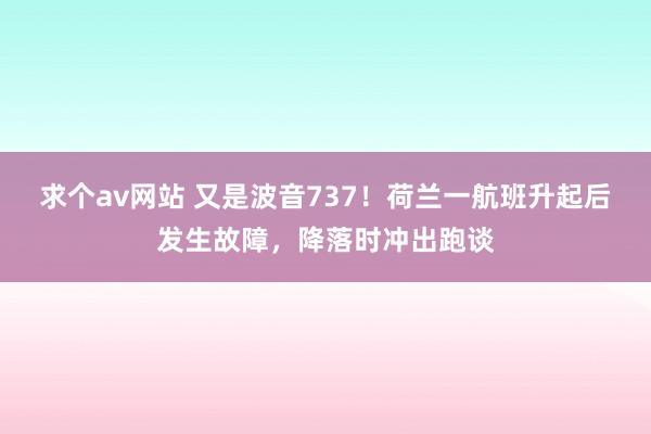 求个av网站 又是波音737！荷兰一航班升起后发生故障，降落时冲出跑谈