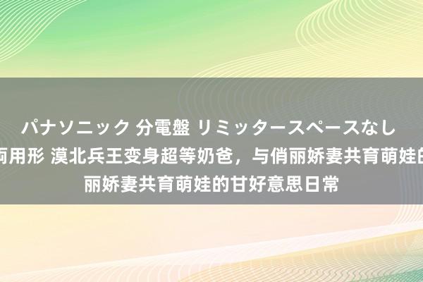 パナソニック 分電盤 リミッタースペースなし 露出・半埋込両用形 漠北兵王变身超等奶爸，与俏丽娇妻共育萌娃的甘好意思日常