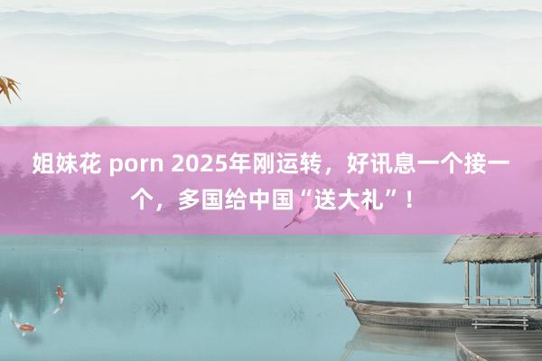 姐妹花 porn 2025年刚运转，好讯息一个接一个，多国给中国“送大礼”！