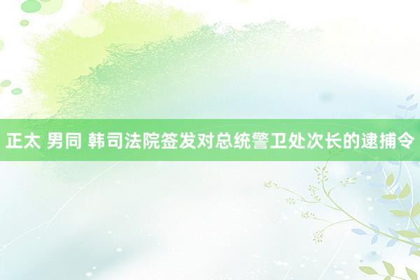 正太 男同 韩司法院签发对总统警卫处次长的逮捕令